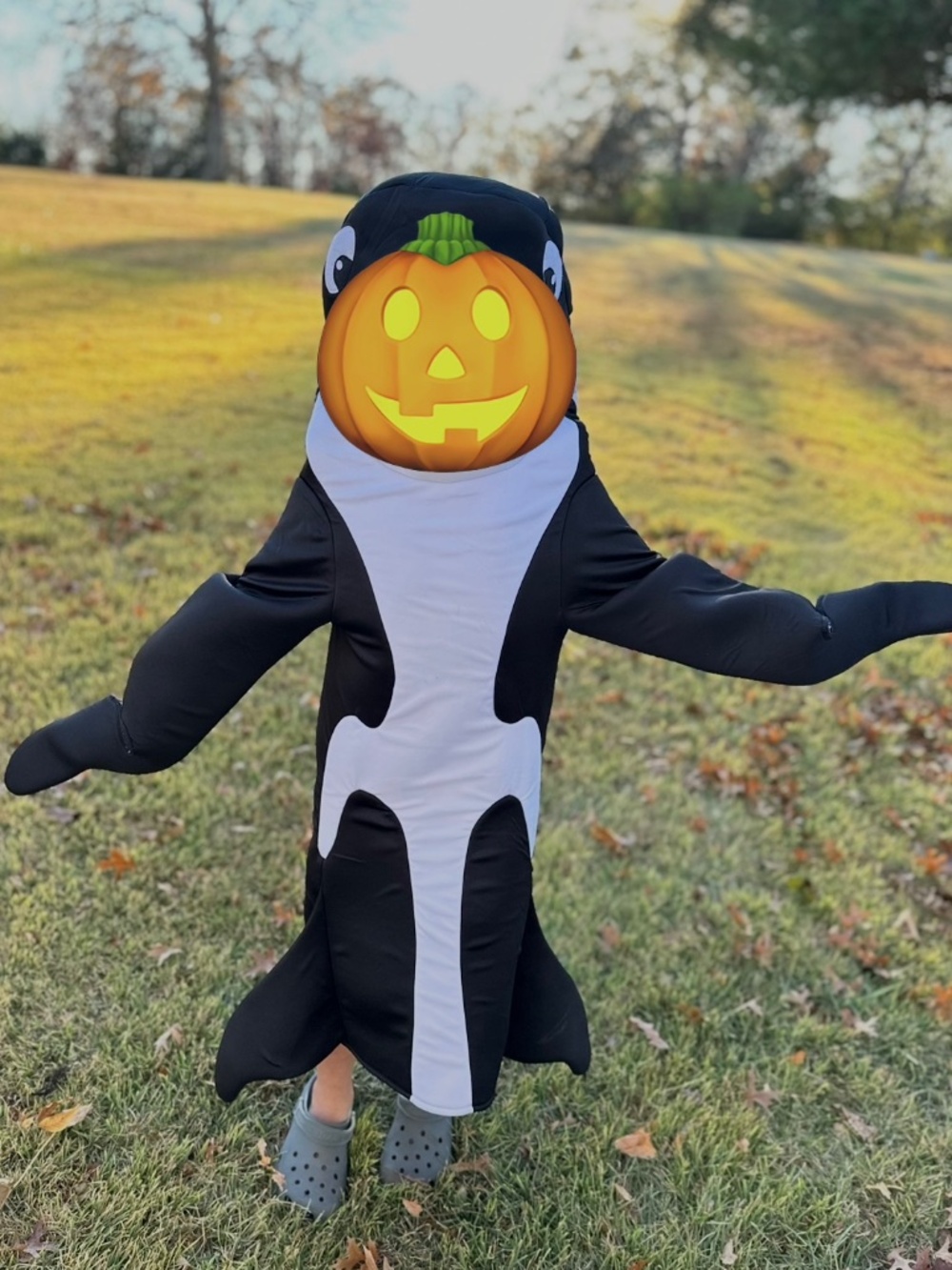 Killer Whale Orca Halloween Costume